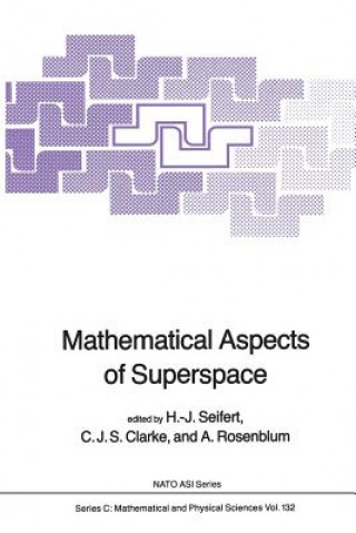 Könyv Mathematical Aspects of Superspace H.J. Seifert