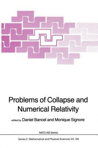 Könyv Problems of Collapse and Numerical Relativity D. Bancel