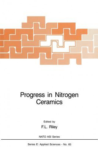 Kniha Progress in Nitrogen Ceramics F.L. Riley