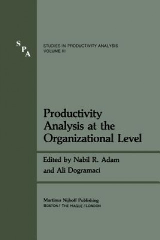 Kniha Productivity Analysis at the Organizational Level Nabil R. Adam