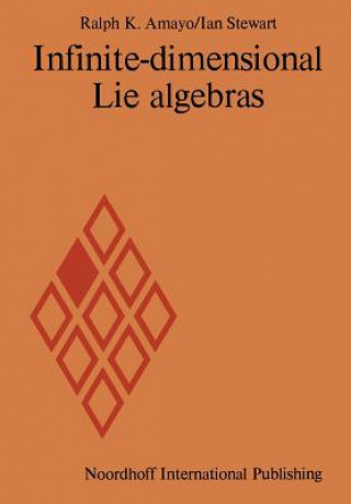 Buch Infinite-dimensional Lie algebras R.K. Amayo