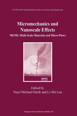 Carte Micromechanics and Nanoscale Effects Vasyl Michael Harik