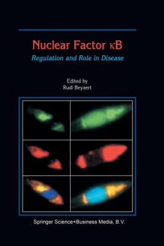 Kniha Nuclear Factor  B R. Beyaert