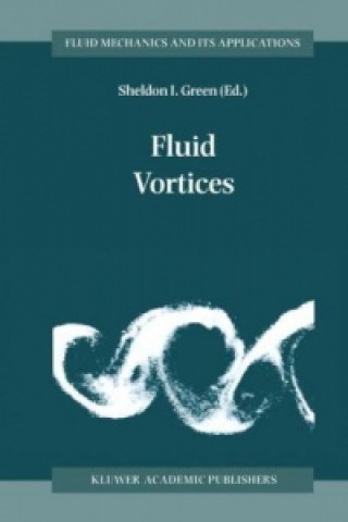 Книга Fluid Vortices Sheldon I. Green