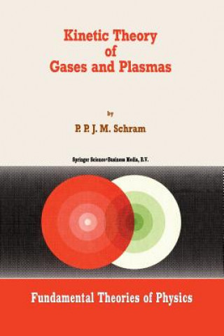 Kniha Kinetic Theory of Gases and Plasmas PPJM Schram