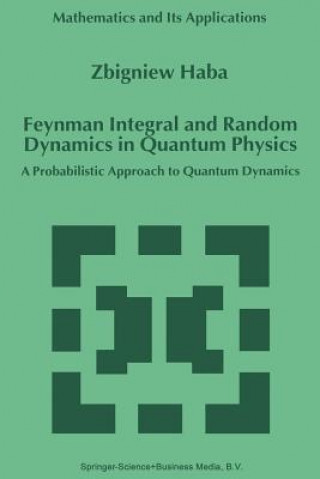 Книга Feynman Integral and Random Dynamics in Quantum Physics Z. Haba