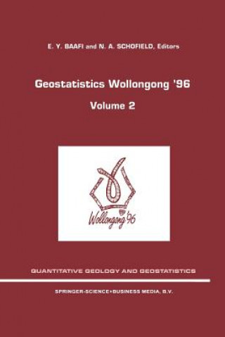 Buch Geostatistics Wollongong' 96 E. Y. Baafi