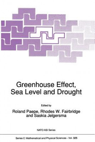 Könyv Greenhouse Effect, Sea Level and Drought R. Paepe