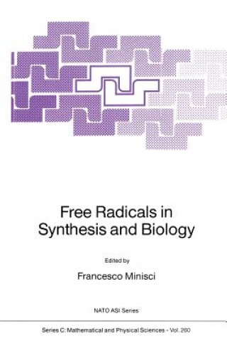 Libro Free Radicals in Synthesis and Biology F. Minisci