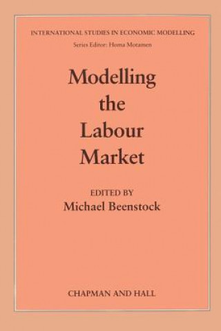 Książka Modelling the Labour Market Michael Beenstock