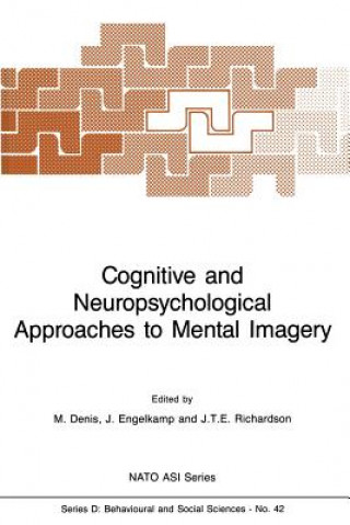 Livre Cognitive and Neuropsychological Approaches to Mental Imagery M. Denis