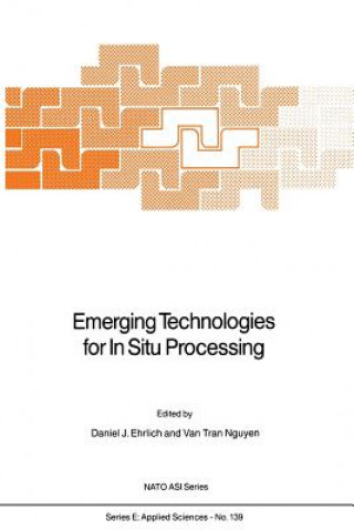 Könyv Emerging Technologies for In Situ Processing D.J. Ehrlich