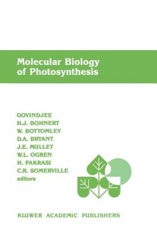 Book Molecular Biology of Photosynthesis ovindjee