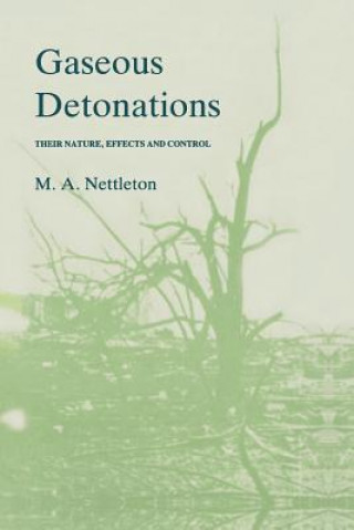 Kniha Gaseous Detonations M.A. Nettleton