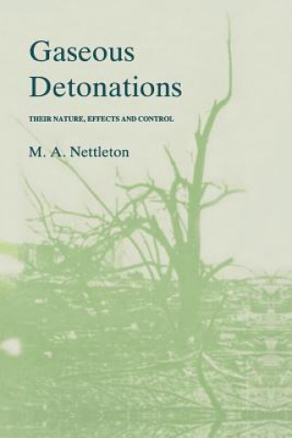 Book Gaseous Detonations M.A. Nettleton