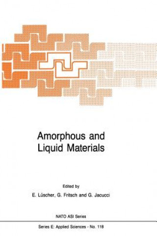 Knjiga Amorphous and Liquid Materials E. Lüscher