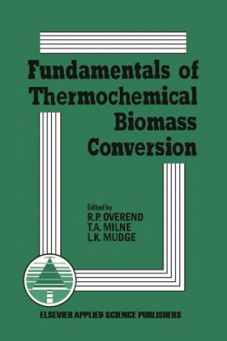 Carte Fundamentals of Thermochemical Biomass Conversion R.P. Overend
