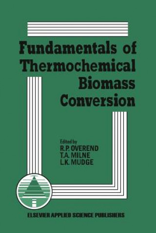 Książka Fundamentals of Thermochemical Biomass Conversion R.P. Overend