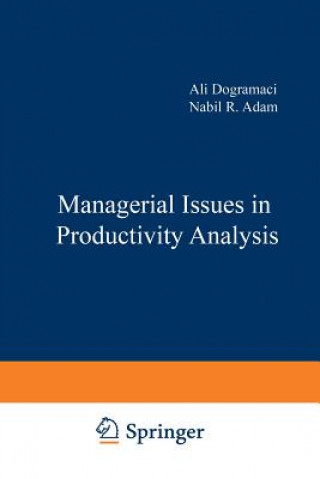 Libro Managerial Issues in Productivity Analysis Ali Dogramaci