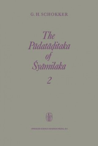 Könyv Padataditaka of Syamilaka G.H. Schokker