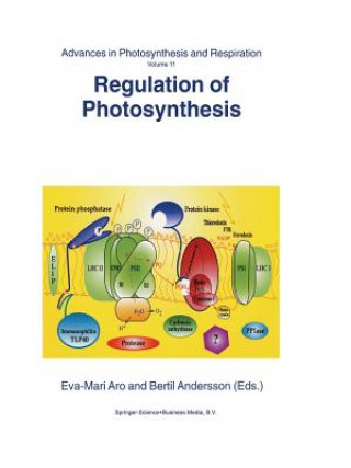 Kniha Regulation of Photosynthesis Eva-Mari Aro