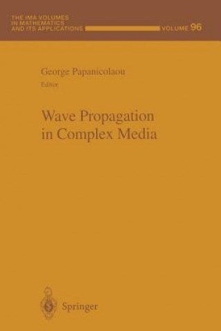 Kniha Wave Propagation in Complex Media George C. Papanicolaou