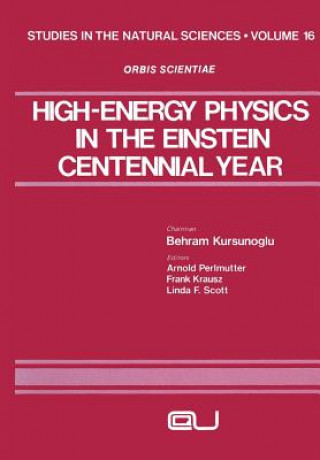 Kniha High-Energy Physics in the Einstein Centennial Year Arnold Perlmutter