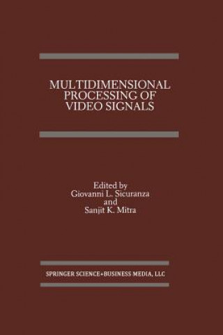 Buch Multidimensional Processing of Video Signals, 1 Giovanni L. Sicuranza