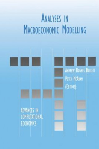 Könyv Analyses in Macroeconomic Modelling Andrew J. Hughes Hallett