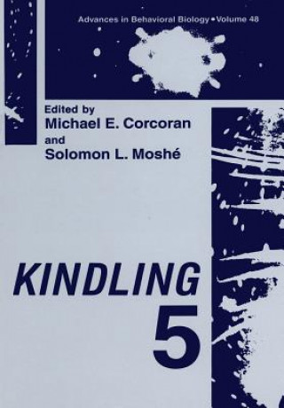 Libro Kindling 5 Michael E. Corcoran