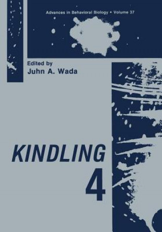 Kniha Kindling 4 Juhn A. Wada
