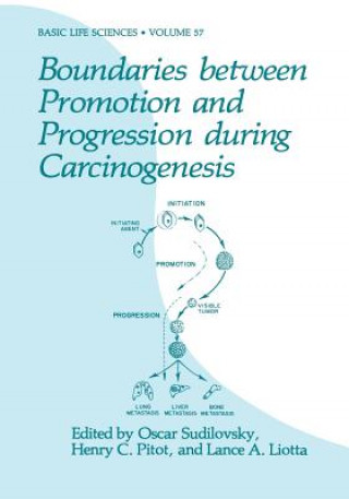 Kniha Boundaries between Promotion and Progression during Carcinogenesis Oscar Sudilovsky