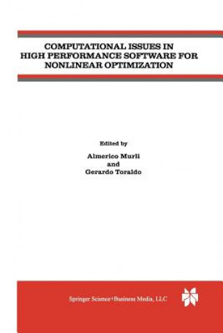Книга Computational Issues in High Performance Software for Nonlinear Optimization Almerico Murli