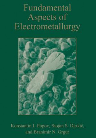 Carte Fundamental Aspects of Electrometallurgy Konstantin Popov