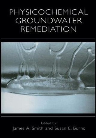 Könyv Physicochemical Groundwater Remediation James A. Smith