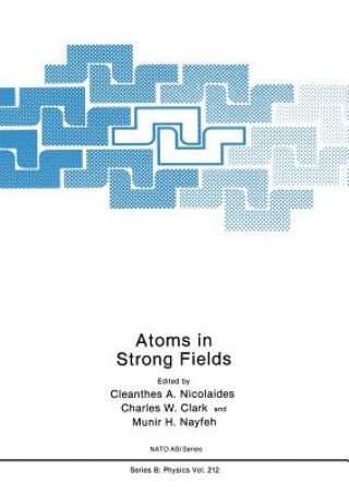 Könyv Atoms in Strong Fields C.A. Nicolaides