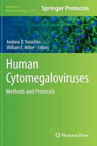 Könyv Human Cytomegaloviruses Andrew D. Yurochko