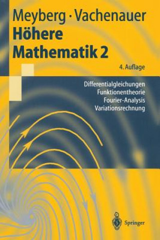 Buch Höhere Mathematik 2 Kurt Meyberg