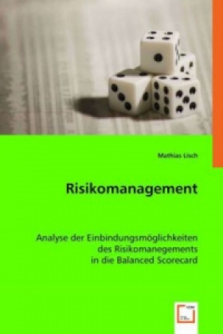 Book Risikomanagement Mathias Lisch