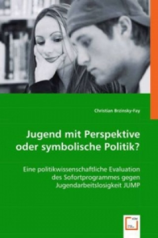 Buch Jugend mit Perspektive oder symbolische Politik? Christian Brzinsky-Fay