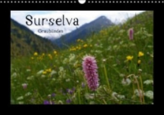 Kalendar/Rokovnik Surselva - Graubünden (Wandkalender immerwährend DIN A3 quer) ajavi.com