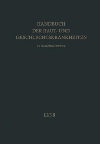 Buch Nicht Entzundliche Dermatosen H. Fischer