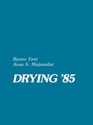 Kniha Drying '85 Ryozo Toei