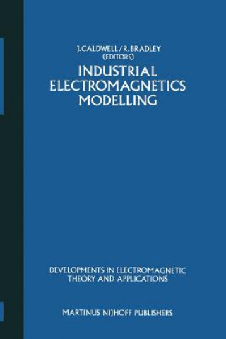 Könyv Industrial Electromagnetics Modelling J. Caldwell