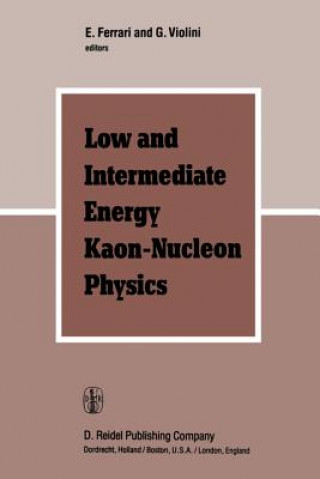 Kniha Low and Intermediate Energy Kaon-Nucleon Physics E. Ferrari