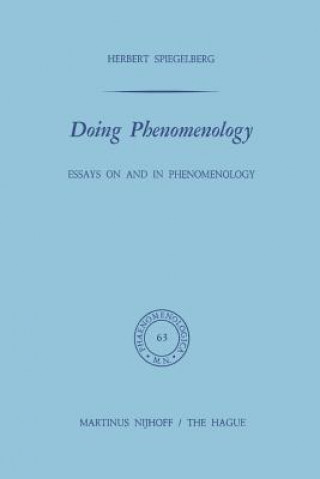 Kniha Doing Phenomenology E. Spiegelberg