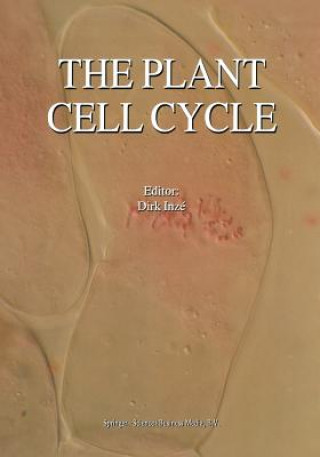 Kniha Plant Cell Cycle Dirk Inzé