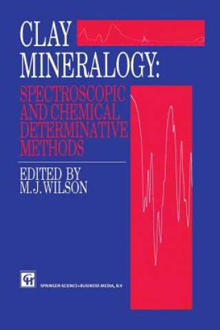 Könyv Clay Mineralogy: Spectroscopic and Chemical Determinative Methods M.H. Repacholi