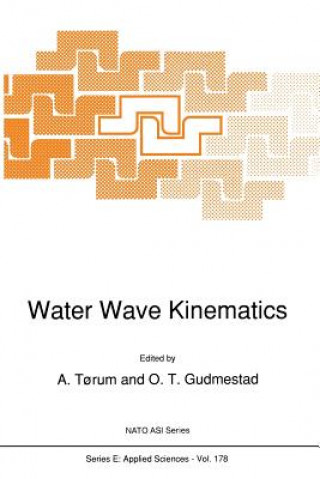 Kniha Water Wave Kinematics A. T