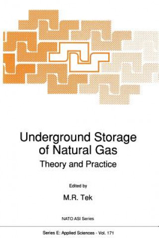 Kniha Underground Storage of Natural Gas M.R. Tek